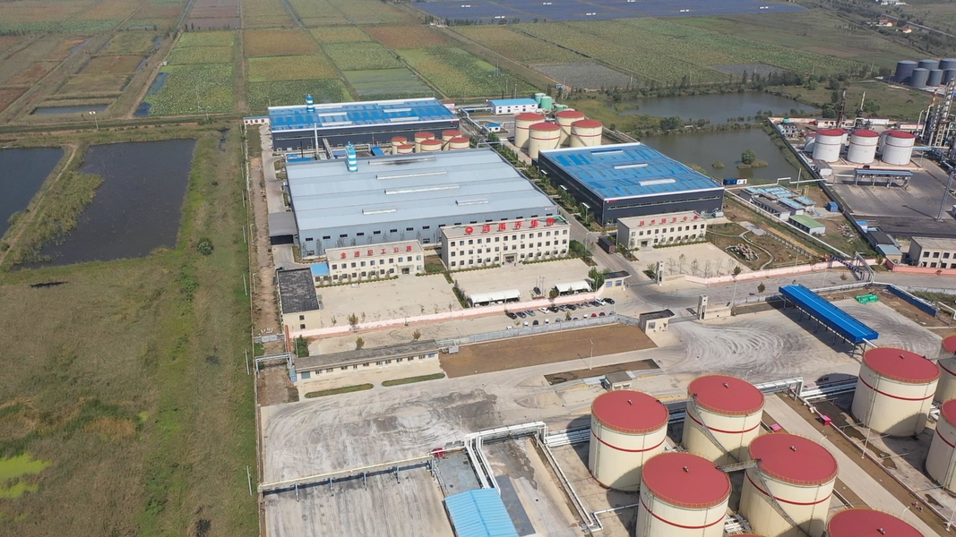 Langfang Hongyuqiao Waterproof Material Co., Ltd. প্রস্তুতকারকের উৎপাদন লাইন